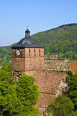 Gate tower, Heidelberger Schloss castle, Heidelberg, Baden-Wurttemberg, Germany, Europe