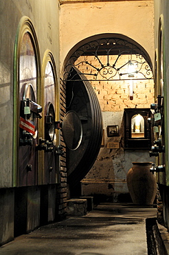 Oak barrels and modern tanks for wine production in the Bodega La Rural winery, Maipu, Mendoza Province, Argentina, South America