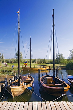 Zeesen boats, port of Ahrenshoop-Althagen on the Fischland peninsula, Mecklenburg-Western Pomerania, Germany, Europe