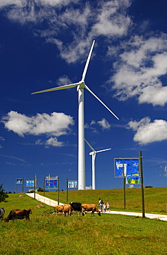 Wind turbines at Mont Crosin Wind Power Station, St. Imier, Jura, Switzerland, Europe