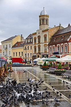 Orthodox Cathedral in the main square Piata Sfatului or Council Square, Brasov, Romania, Europe