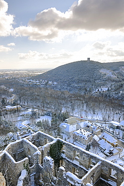 Ruins of Rauhenstein Castle in winter, Baden, Lower Austria, Austria, Europe