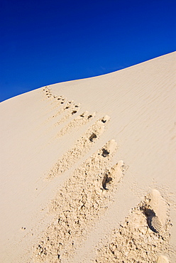 Footprints in the gypsum dunes of White Sands National Monument, New Mexico, USA, America