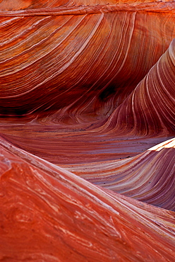 The Wave, Vermillion Cliffs, Utah, USA, America