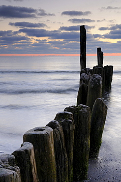 Groynes on the Baltic coast, Ruegen island, Mecklenburg-Western Pomerania, Germany, Europe