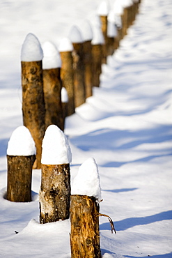 Fence covered with fresh snow