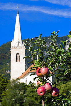 Spire in Kaltern, province of Bolzano-Bozen, Italy, Europe