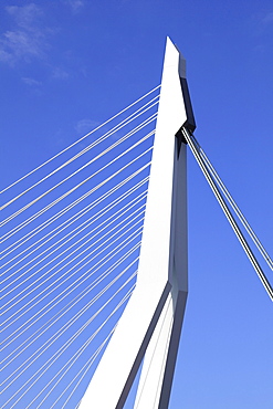 Cable-stayed bridge, bridge pier, pylon, Erasmus Bridge, Erasmusbrug, Rotterdam, Kop van Zuid, Netherlands, Europe