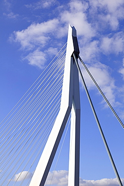 Cable-stayed bridge, bridge pier, pylon, Erasmus Bridge, Erasmusbrug, Rotterdam, Kop van Zuid, Netherlands, Europe