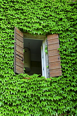 Window at the village of Castellaro Lagusello, Monzambano, Mantova, Italy, Europe