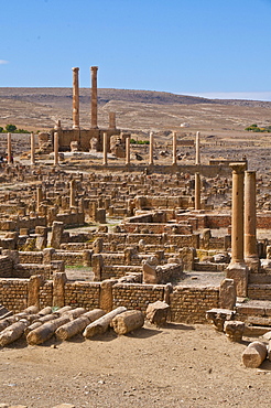 The Roman ruins of Timgad, Unesco World Heritage Site, Algeria, Africa