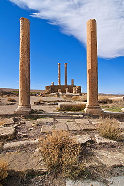 The Roman ruins of Timgad, Unesco World Heritage Site, Algeria, Africa