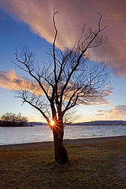 Sunset on Reichenau island, Lake Constance, Baden-Wuerttemberg, Germany, Europe