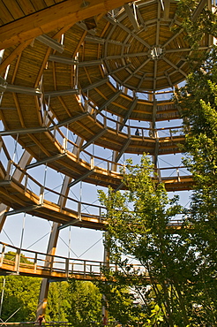 Tree platform, 44 metres high, the world's longest tree top walk, barrier-free spiral form, Neuschoenau, Bavarian Forest National Park, Bavaria, Germany, Europe