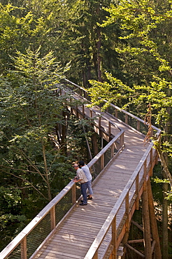 World's longest tree top walk, view from the 44 metre high tree platform, Neuschoenau, Bavarian Forest National Park, Bavaria, Germany, Europe