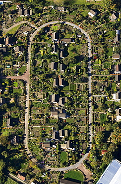 Aerial view, KGV Brucknerstrasse allotments, Muelheim an der Ruhr, Ruhrgebiet region, North Rhine-Westphalia, Germany, Europe