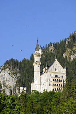 Schloss Neuschwanstein Castle and paraglider, Schwanensee, Fuessen, Tegelberg, Upper Bavaria, Bavaria, Germany, Europe