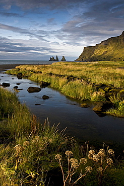 Beach near Vik, southwest coast, Iceland, Scandinavia, Europe