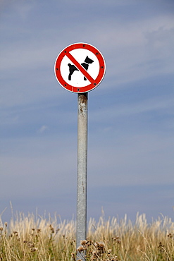 Dogs prohibited sign, Hohwachter Bucht bay, Baltic Coast, Schleswig-Holstein, Germany, Europe