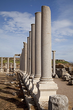Marketplace, ancient archaeological site of Perge, Antalya, Turkish Riviera, Turkey, Asia