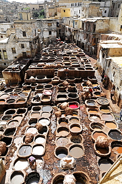 Workers, Tanner's Quarter or Dye Pits of Chouwara in Fez El Bali, Medina, a UNESCO World Heritage Site, Fez, Morocco, Africa