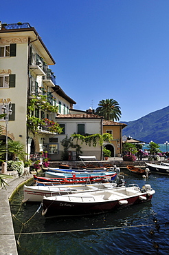 Old harbour of Limone sul Garda, Lake Garda, Lombardia, Italy, Europe