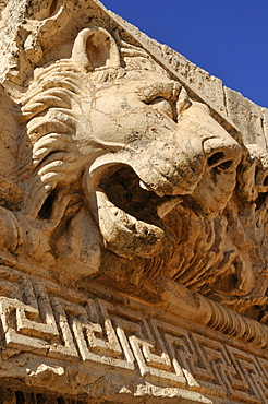 Gargoyle in the shape of a lion head at the archeological site of Baalbek, Unesco World Heritage Site, Bekaa Valley, Lebanon, Middle East, West Asia