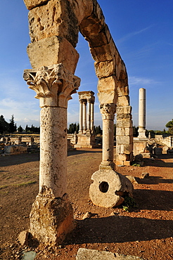 Antique Umayyad ruins at the archeological site of Anjar, Aanjar, Unesco World Heritage Site, Bekaa Valley, Lebanon, Middle East, West Asia