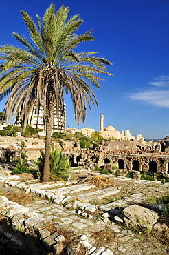 Archeological site of Tyros, Tyre, Sour, Unesco World Heritage Site, Lebanon, Middle East, West Asia