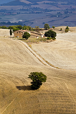 Farmhouse, Val d'Orcia, Tuscany, Italy, Europe