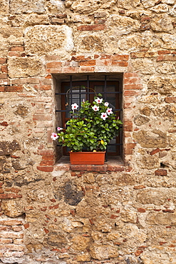 Window with flowers, Tuscany, Italy, Europe