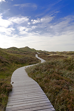 Dune landscape near Norddorf, Amrum Island, North Sea, North Friesland, Germany, Europe