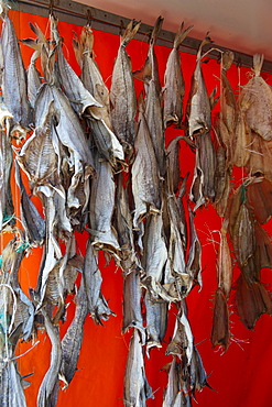 Dried fish, fish market, Ostend, Belgium, Europa