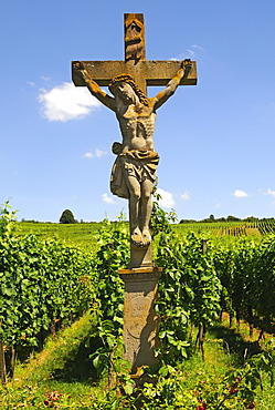 Stone crucifix in the vineyards of Orschwihr, Alsace, France, Europe