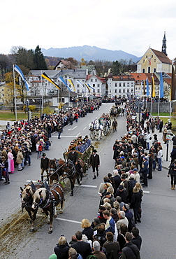 Leonhardifahrt, a procession with horses for the feast day of Saint Leonard of Noblac, Bad Toelz, Upper Bavaria, Bavaria, Germany, Europe