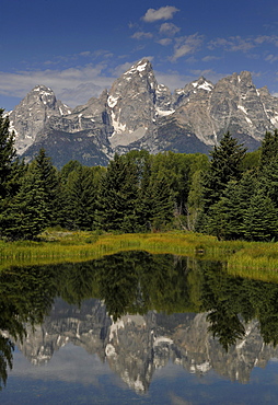 Snake River, Schwabacher Landing, in front of the Teton Range, Grand Teton National Park, Wyoming, United States of America, USA