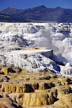 Canary Spring Terrace, limestone sinter terraces, geysers, hot springs, in front of Mount Everts, Mammoth Hot Springs Terraces in Yellowstone National Park, Idaho, Montana, Wyoming, America