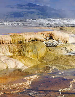 Canary Spring Terrace, limestone sinter terraces, geysers, hot springs, colorful thermophilic bacteria, Mammoth Hot Springs Terraces in Yellowstone National Park, Wyoming, United States of America, USA