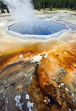 Crested Pool Geyser, Upper Geyser Basin, geothermal springs in Yellowstone National Park, Wyoming, United States of America, USA