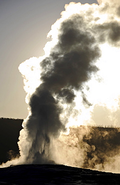 Eruption of the Old Faithful geyser, Upper Geyser Basin, geothermal springs in Yellowstone National Park, Wyoming, United States of America, USA