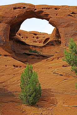 Honeymoon Arch, Mystery Valley, Arizona, USA, North America