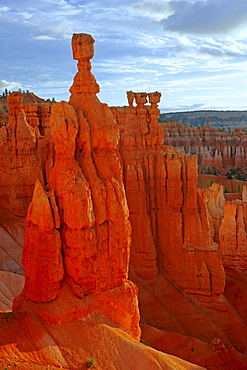 Thor's Hammer rock formation in the morning, Sunrise Point, Bryce Canyon National Park, Utah, United States, America