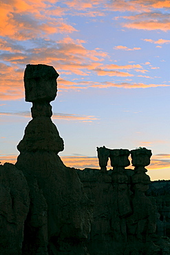 Thor's Hammer rock formation at dawn, Sunrise Point, Bryce Canyon National Park, Utah, USA, America