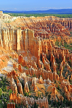 Rock formations and hoodoos, Bryce Canyon at sunrise, Bryce Point, Utah, Southwest, USA