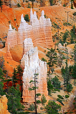 Rock formations and hoodoos in the evening, Bryce Canyon National Park, Sunset Point, Utah, USA, America