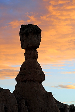 Thor's Hammer at dawn, Sunrise Point, Bryce Canyon National Park, Utah, USA, America