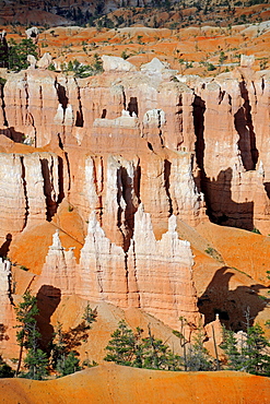 Rock formations and hoodoos in the evening, Bryce Canyon National Park, Sunset Point, Utah, USA, America