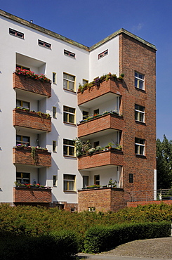 Schoenlanker Strasse housing estate by architect Bruno Taut, Ernst-Fuerstenberg-Strasse, Berlin Modernism Housing Estate, Prenzlauer Berg, Pankow, Berlin, Germany, Europe