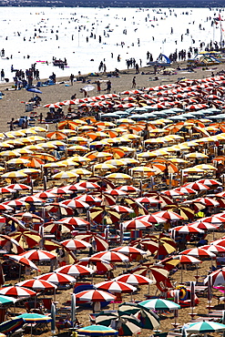 Parasols and sun loungers, mass tourism on the beach of Caorle, Adriatic Sea, Italy, Europe