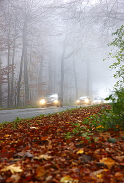 Highway in dense fog, autumn, visibility below 100 metres, Essen, North Rhine-Westphalia, Germany, Europe